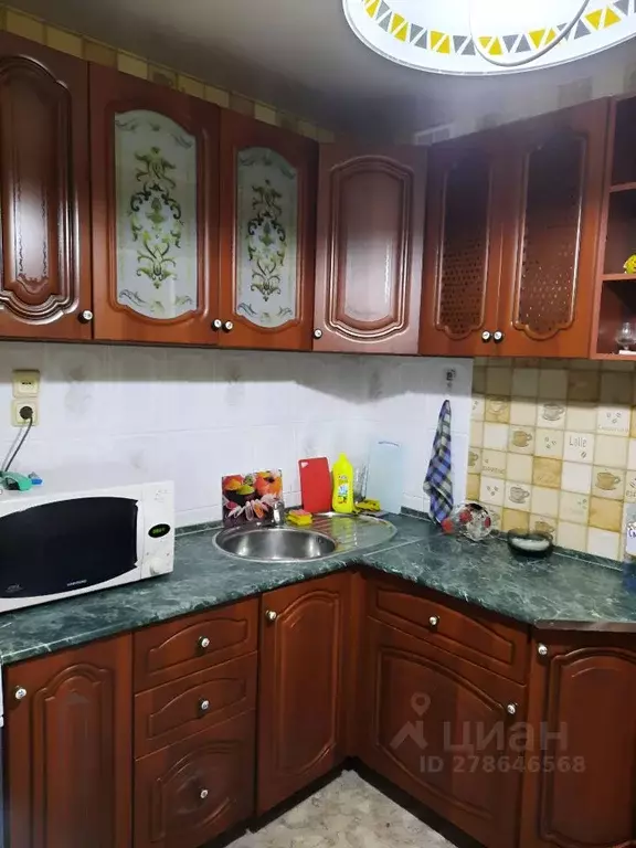 1-к кв. Курганская область, Курган ул. Рихарда Зорге, 15 (33.0 м) - Фото 1