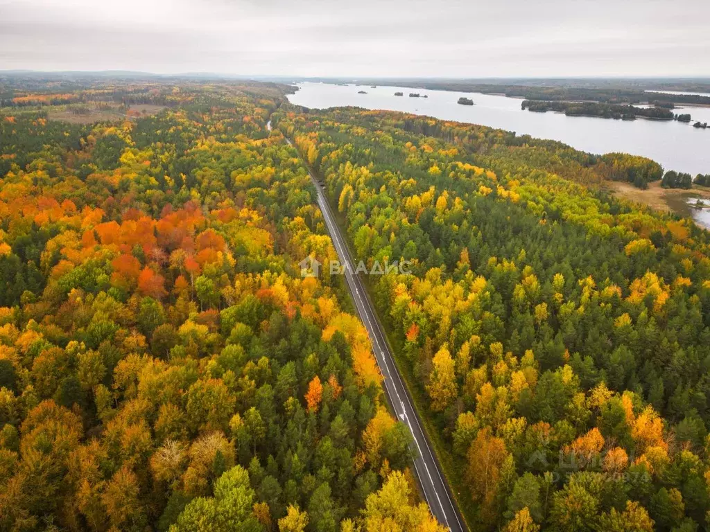 Участок в Карелия, Медвежьегорский муниципальный округ, д. Сибово  ... - Фото 2
