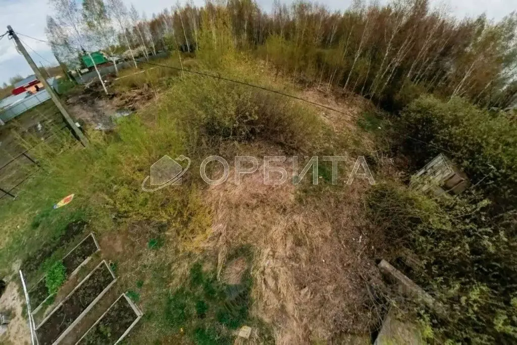 Участок в Тюменская область, Тюмень Яровское садовое товарищество, ул. ... - Фото 2