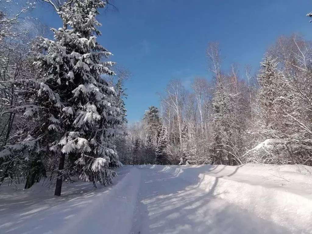 Участок в Москва Подолье СНТСН, ул. Лесная (7.5 сот.) - Фото 1