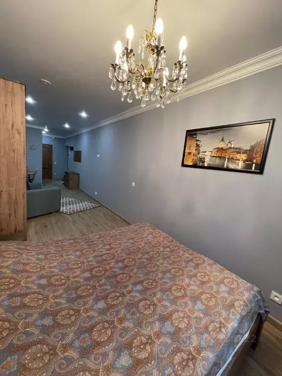 Студия Санкт-Петербург Московский просп., 183-185Ак6 (33.0 м) - Фото 1