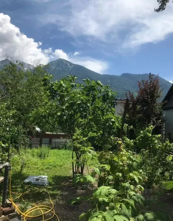 Участок в Краснодарский край, Сочи Красная Поляна пгт, ул. Пчеловодов ... - Фото 1