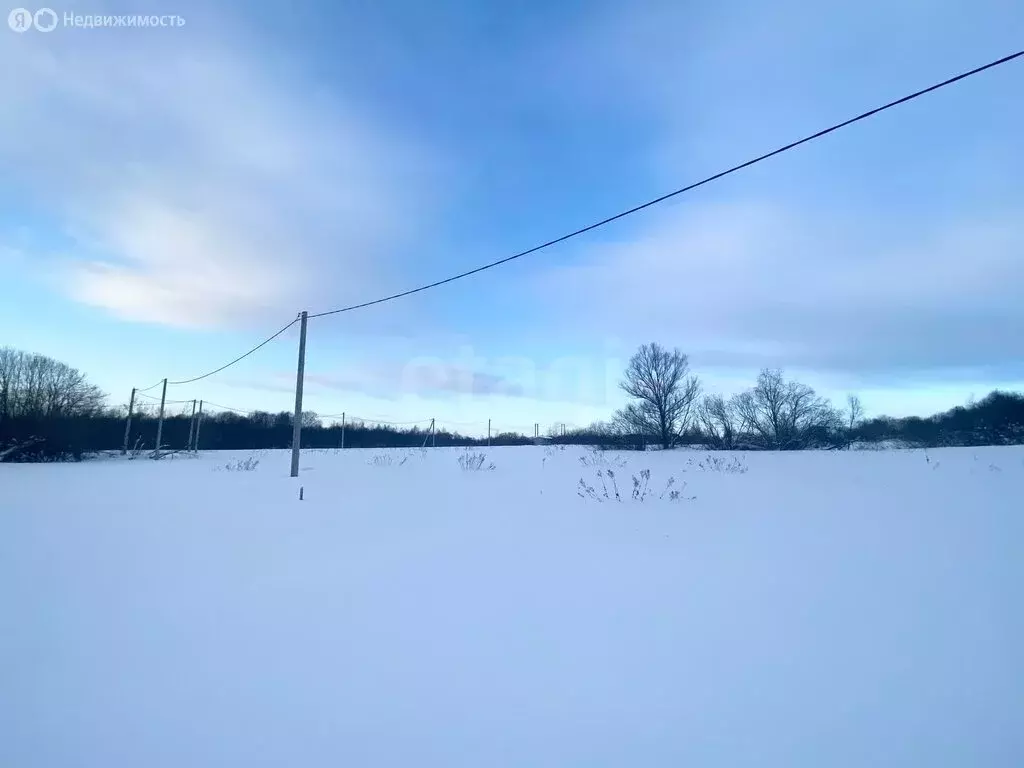 Участок в Московская область, Дмитровский муниципальный округ, деревня ... - Фото 2