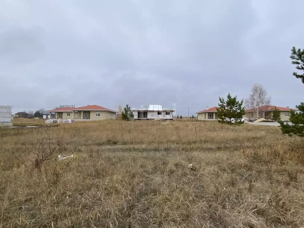 Участок в Воронежская область, Новоусманский район, с. Бабяково, ... - Фото 0