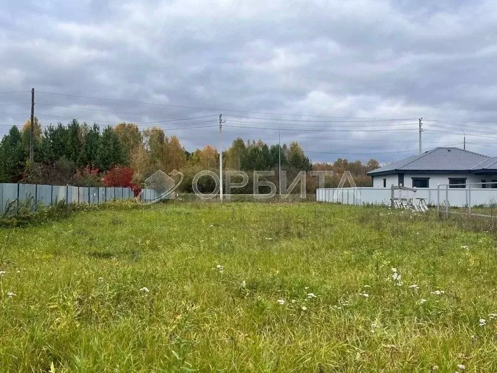 Участок в Тюменская область, Тюменский муниципальный округ, д. Черная ... - Фото 1