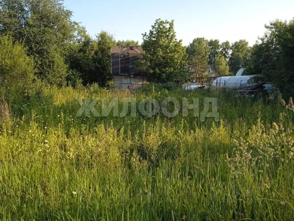 Участок в Новосибирская область, Новосибирский район, Раздольненский ... - Фото 1