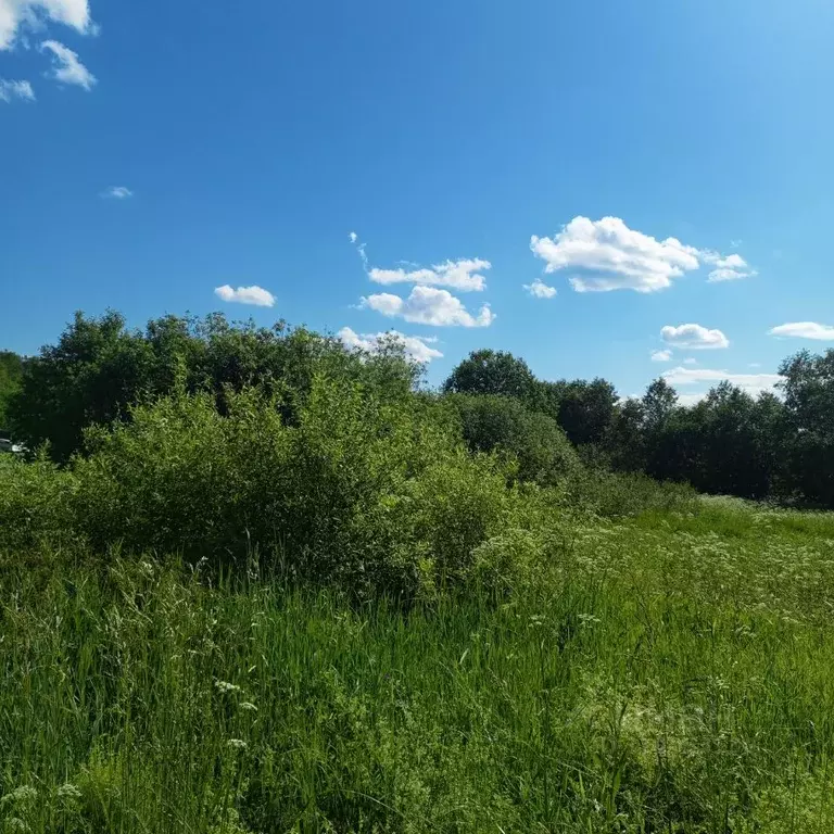 Участок в Московская область, Щелково городской округ, д. Малые ... - Фото 1