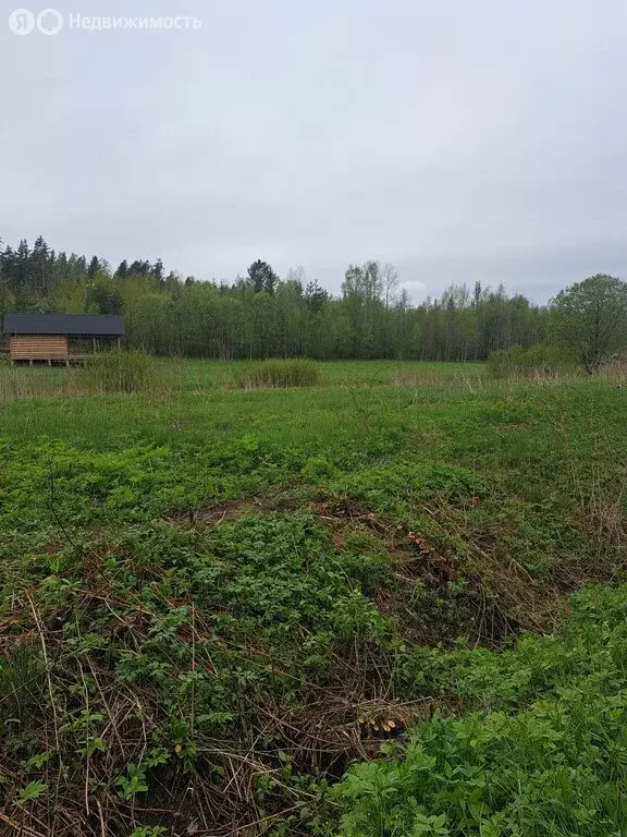 Участок в посёлок Мельниково, Сосновая улица (15 м) - Фото 1