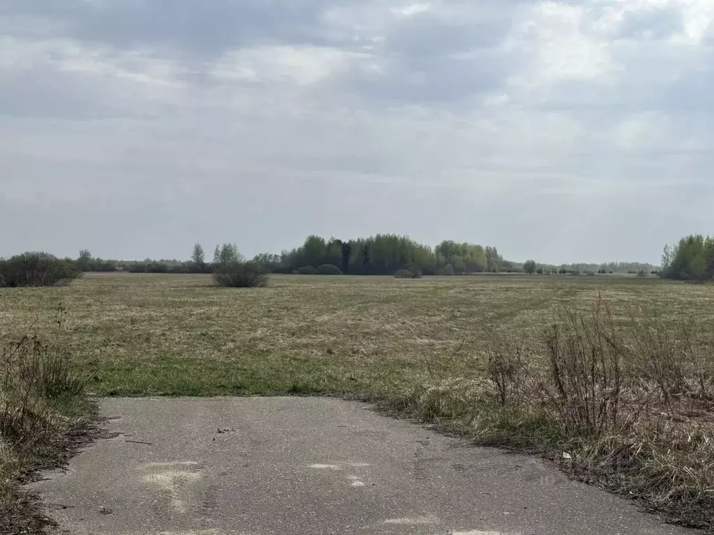 Участок в Московская область, Шатура муниципальный округ, д. Дорофеево ... - Фото 1