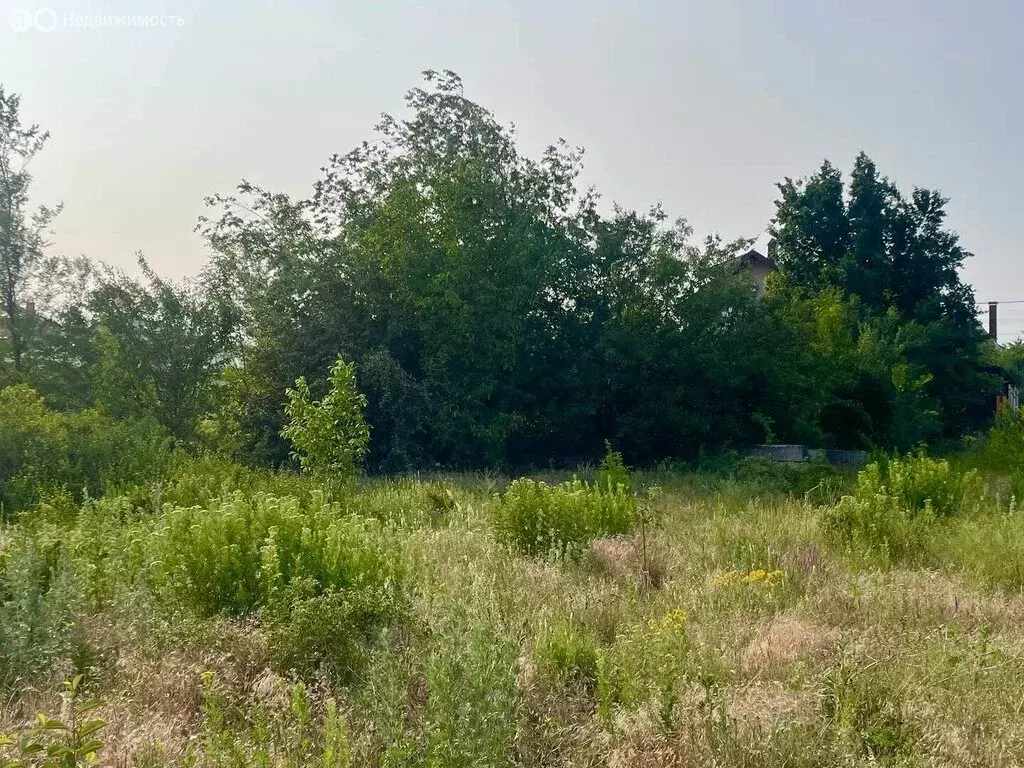 Участок в Аксайский район, Большелогское сельское поселение, посёлок ... - Фото 1