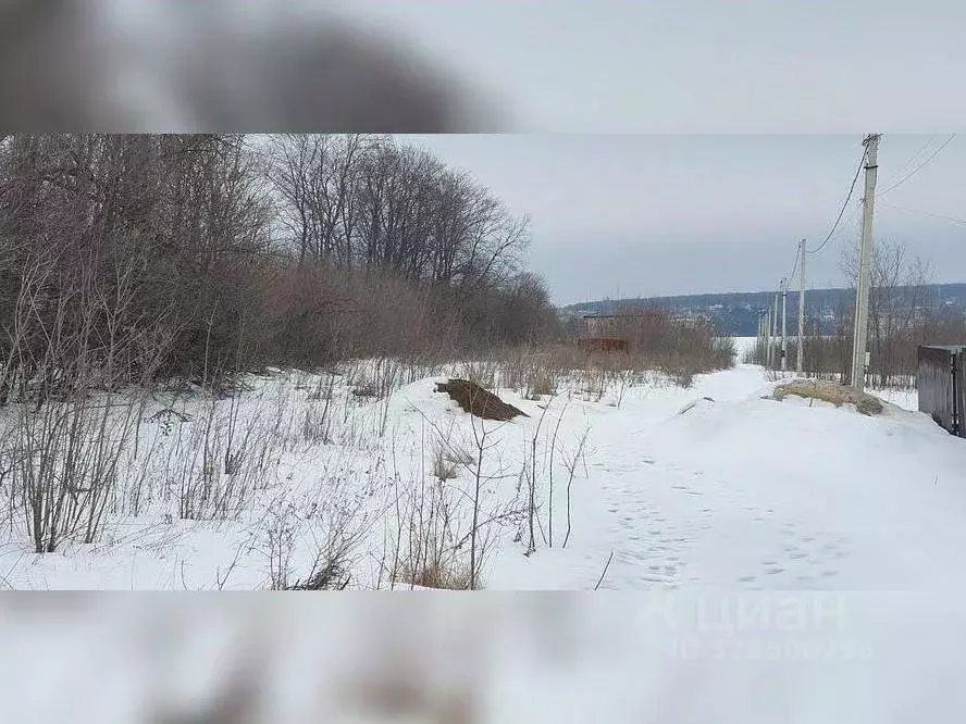 Участок в Воронежская область, Семилукский район, Губаревское с/пос, ... - Фото 1