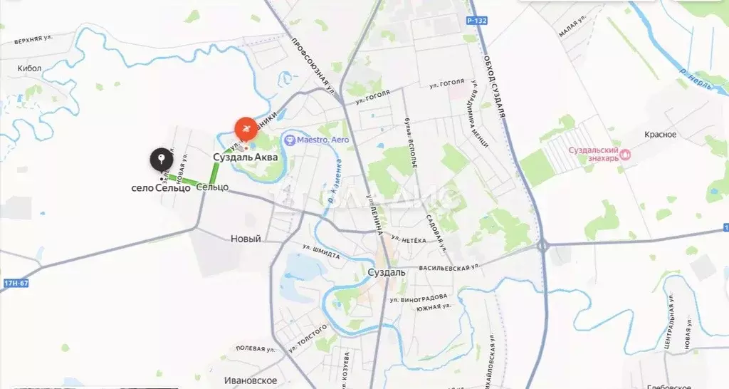 Участок в Владимирская область, Суздальский район, Селецкое ... - Фото 2