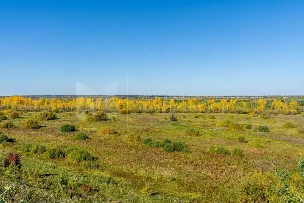 Участок в Тюменская область, Тюменский район, д. Коняшина  (4.14 сот.) - Фото 0