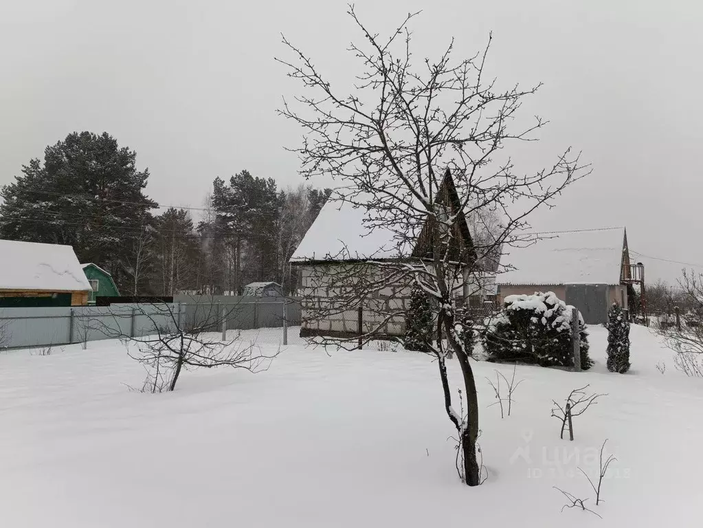 Дом в Пензенская область, Пенза Сосенки садовое дачное товарищество,  ... - Фото 0