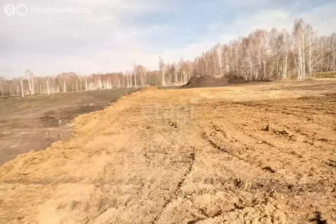 Участок в Мошковский район, посёлок Красногорский (1750 м) - Фото 0