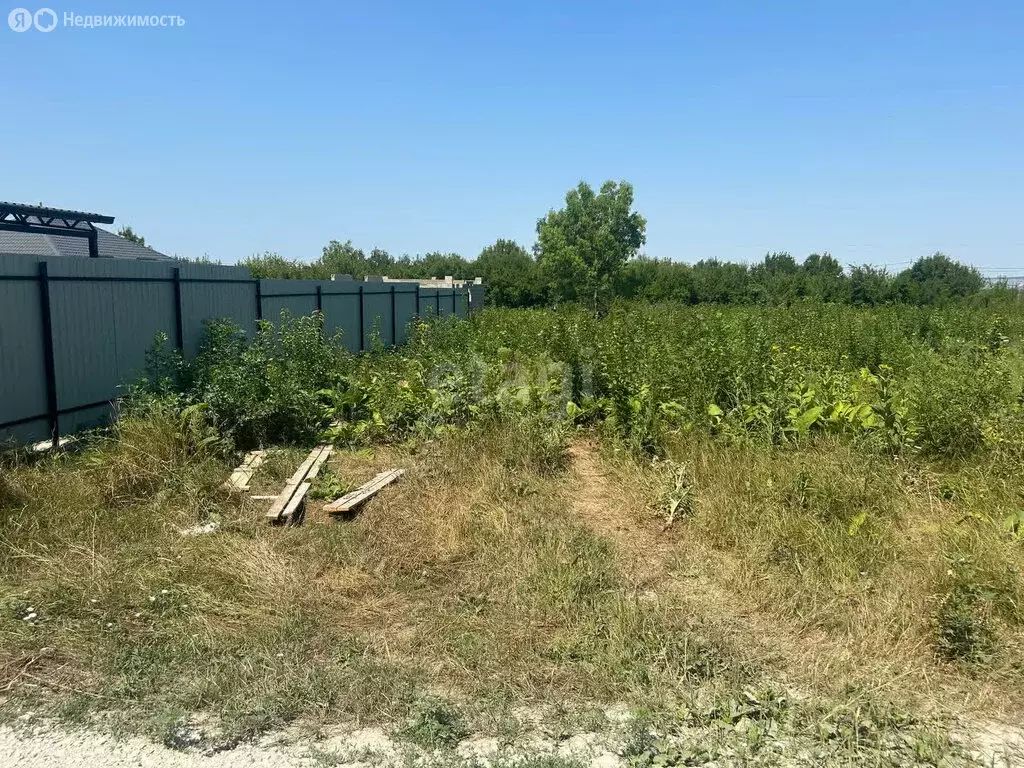 Участок в Краснодарский край, городской округ Новороссийск, хутор ... - Фото 0