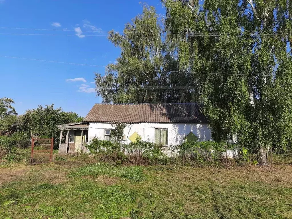 Дом в Рязанская область, Сараевский муниципальный округ, с. Высокое ... - Фото 1