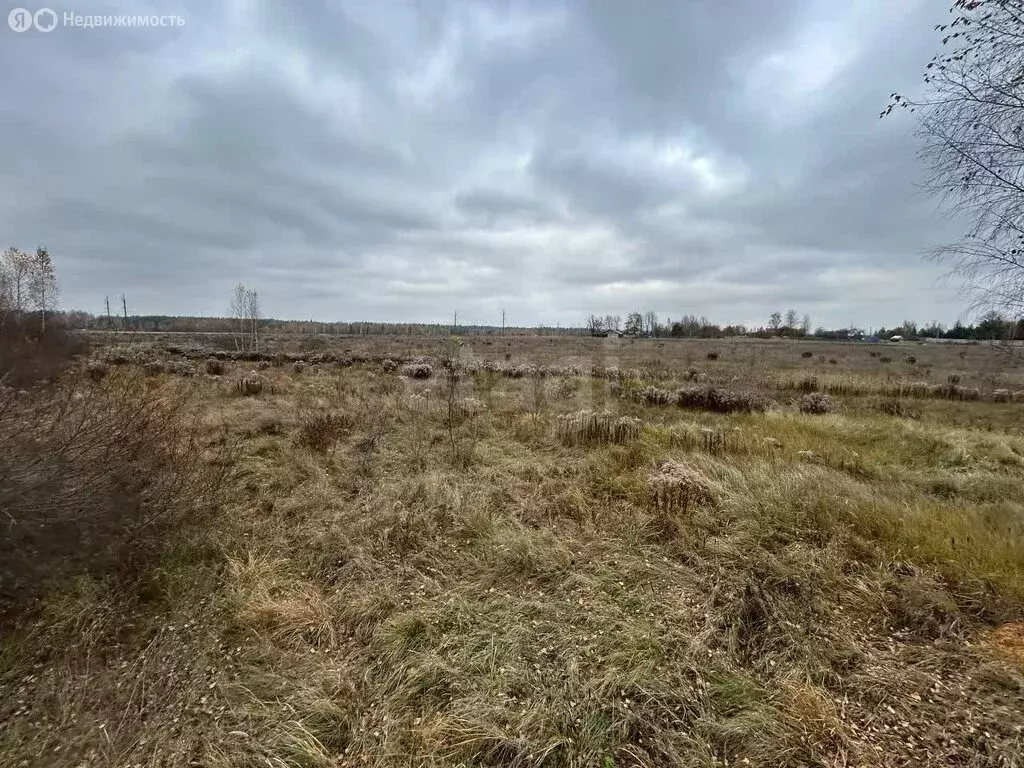 Участок в Новый Свет, Мирная улица (47.01 м) - Фото 2