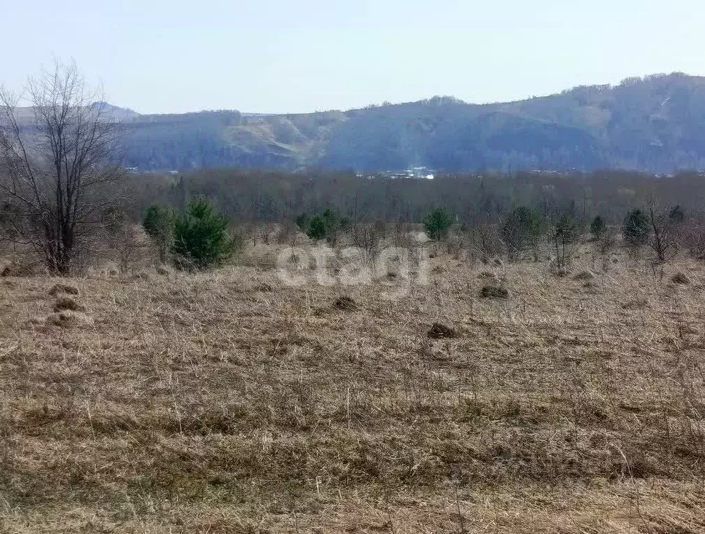 Участок в Алтайский край, Алтайский район, Айский сельсовет, ... - Фото 1