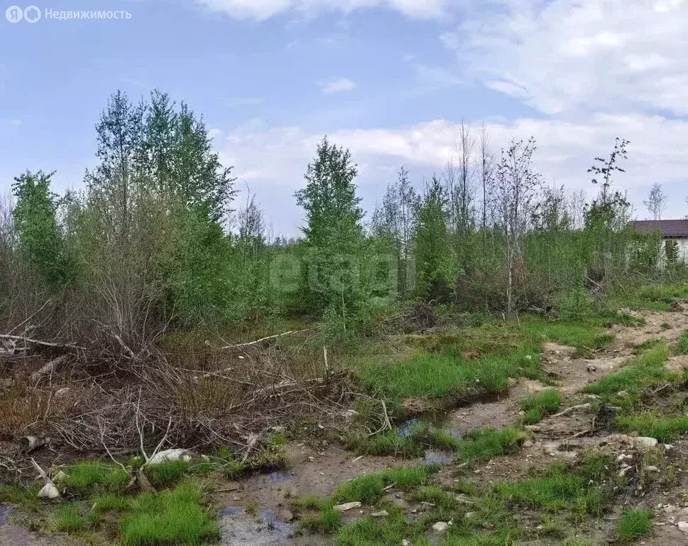 Участок в Петрозаводск, территория Древлянка-3, микрорайон ... - Фото 1