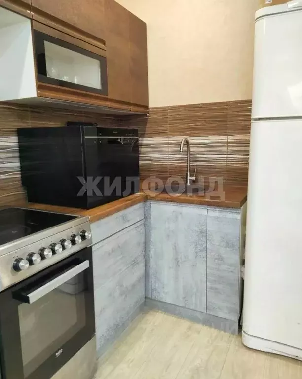 1-к кв. Новосибирская область, Новосибирский район, Каменский ... - Фото 2