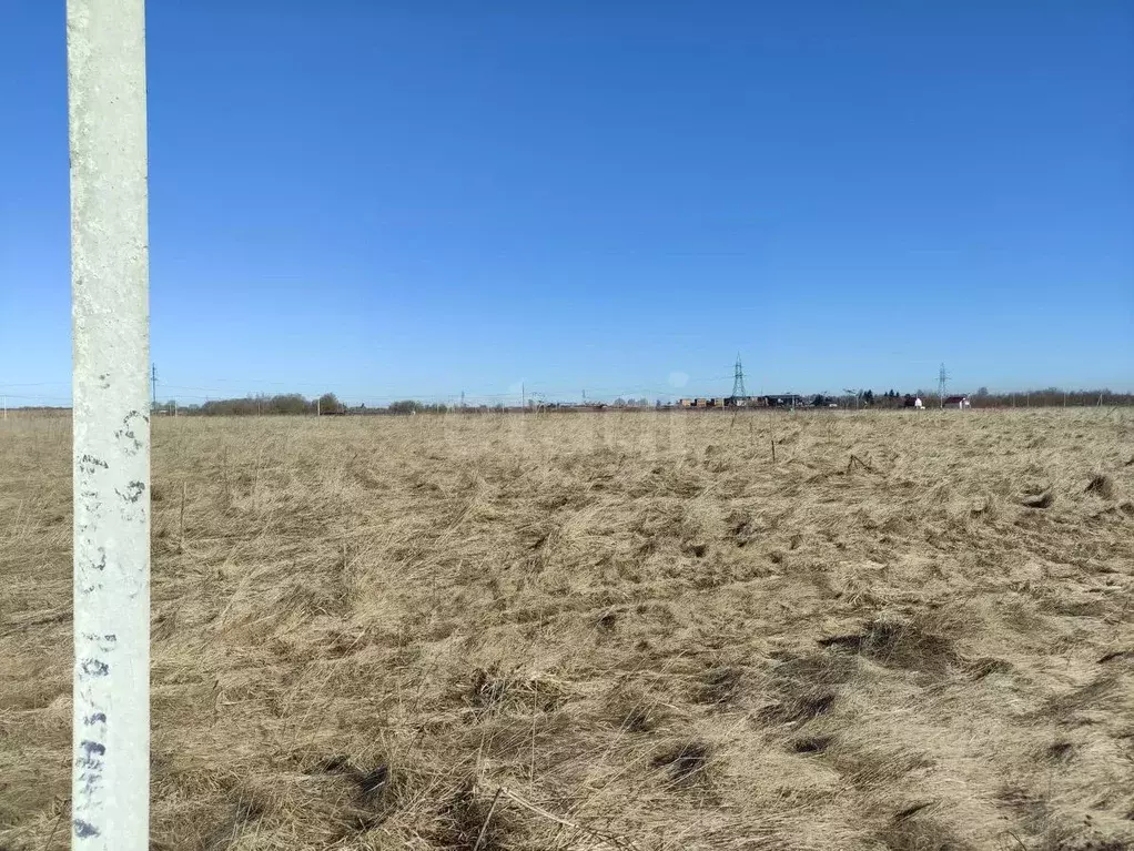 Участок в Псковская область, Псковский район, Завеличенская волость, ... - Фото 2