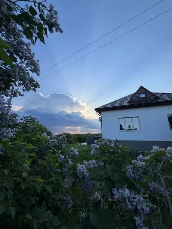 Дом в Липецкая область, Елецкий муниципальный округ, д. Большая ... - Фото 1