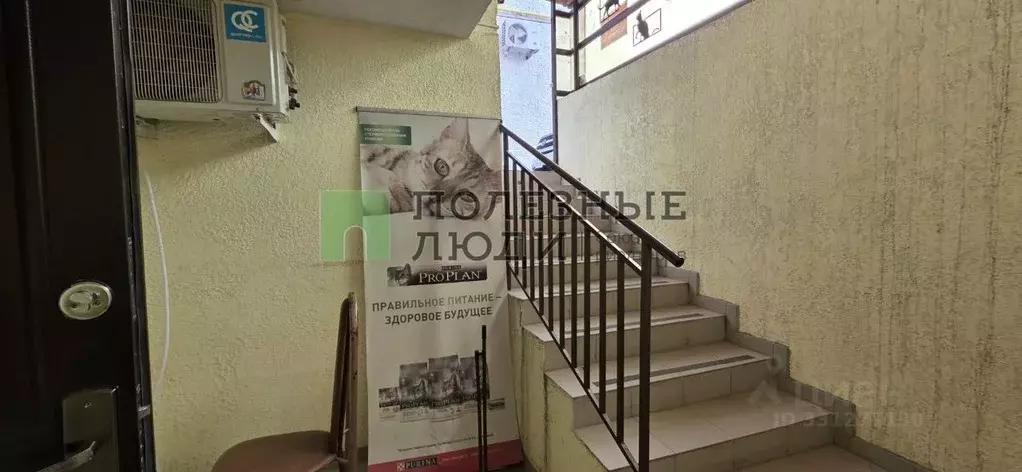 Помещение свободного назначения в Краснодарский край, Геленджик ул. ... - Фото 2