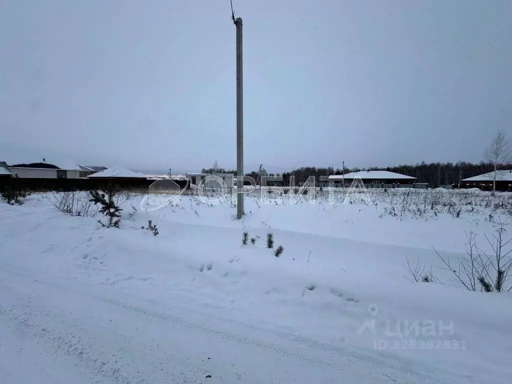 Участок в Тюменская область, Тюменский муниципальный округ, с. Луговое ... - Фото 1