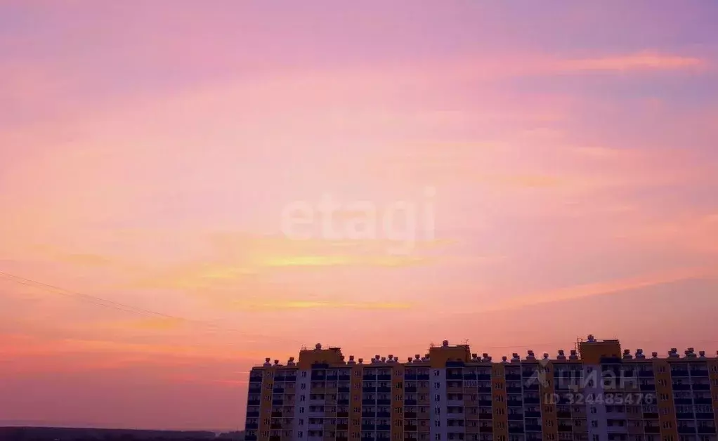 Студия Новосибирская область, Новосибирск ул. Твардовского, 22/5 (19.3 ... - Фото 1