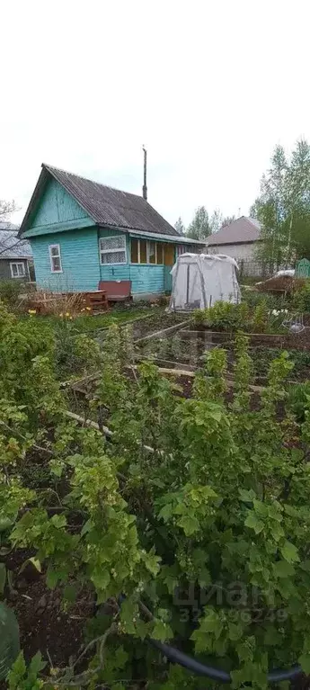 Дом в Вологодская область, Вологда Поляна садоводческое товарищество, ... - Фото 2