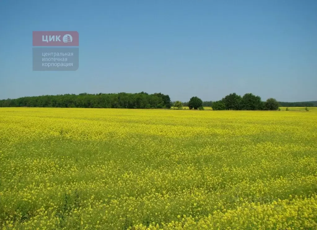 Дом в Рязанская область, Путятинский муниципальный округ, пос. Шефский ... - Фото 2