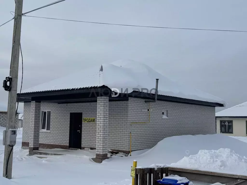 Дом в Алтайский край, Барнаул городской округ, пос. Черницк ул. ... - Фото 2