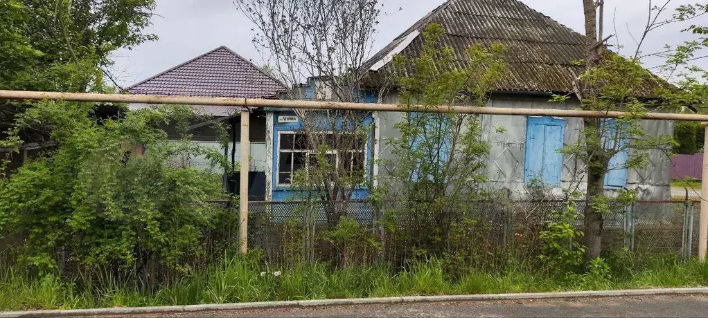 Участок 12 сот. (ИЖС) - Фото 1