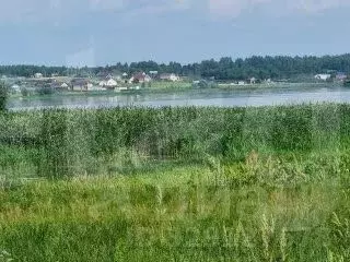 Участок в Нижегородская область, Чкаловск муниципальный округ, д. ... - Фото 2
