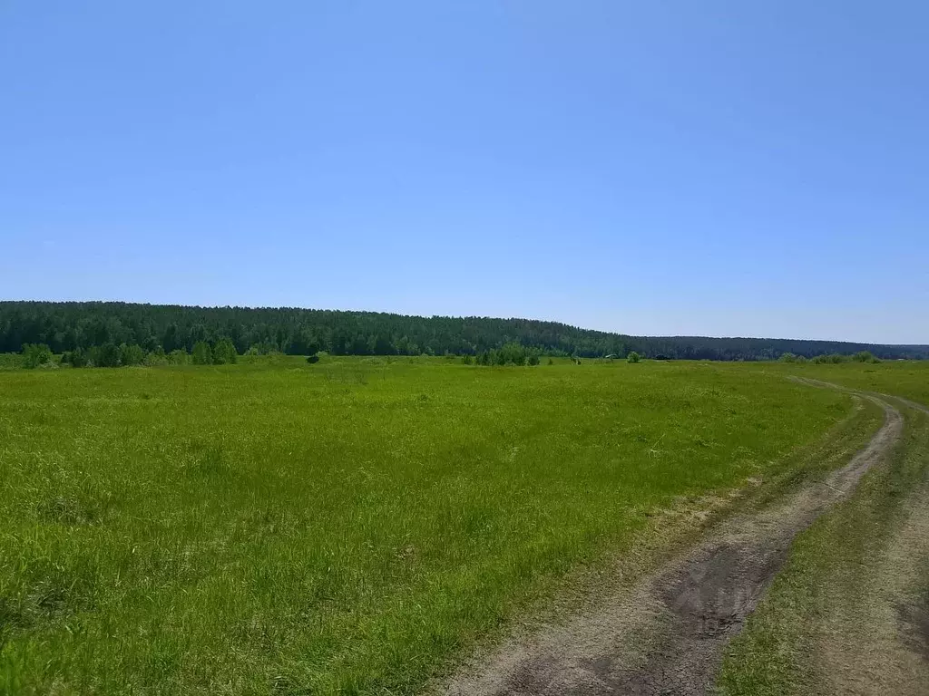 Участок в Красноярский край, Сухобузимский сельсовет  (8770.0 сот.) - Фото 0