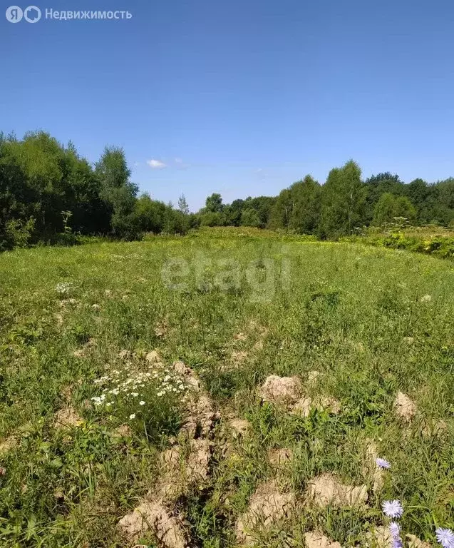 Участок в Калужская область, Ферзиковский муниципальный округ, ... - Фото 1