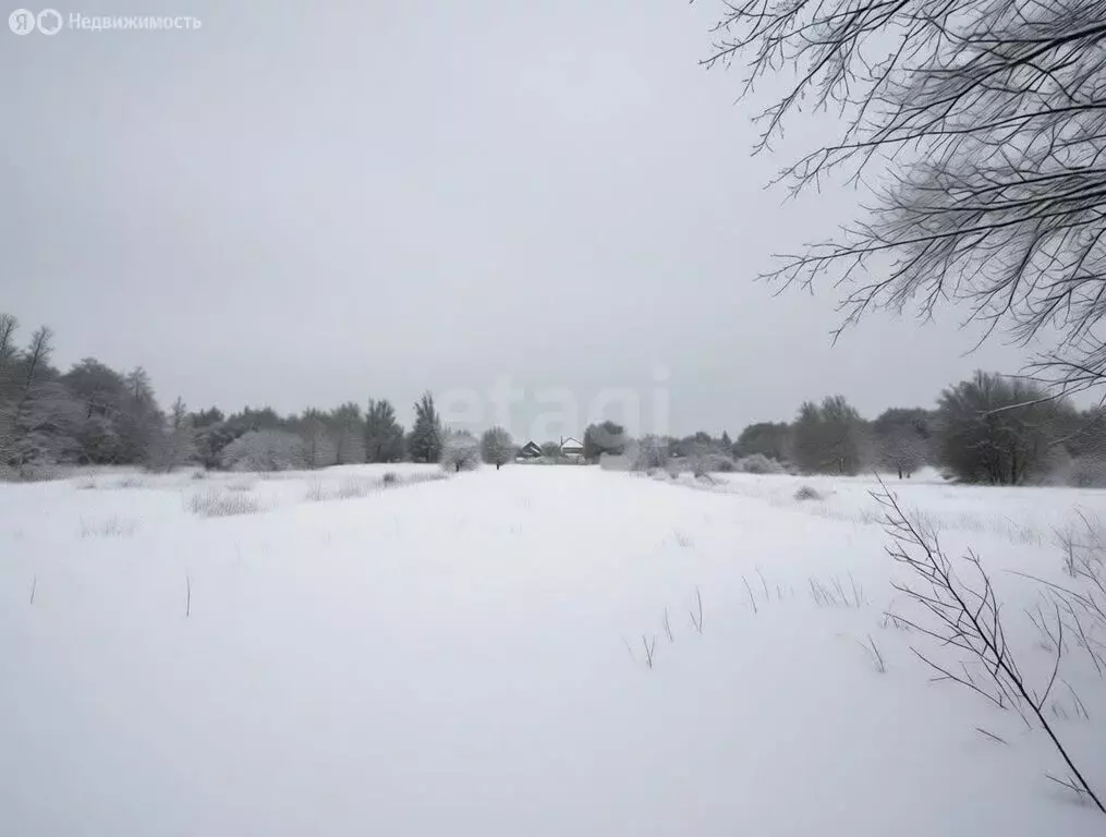 Участок в село Усадище, улица Воронцова (11 м) - Фото 2