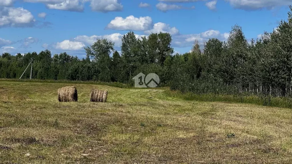 Участок в Новосибирская область, Колыванский район, Сибирская Волость ... - Фото 1