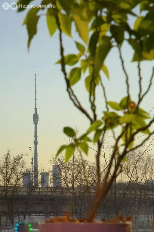 Квартира-студия: Москва, Берёзовая аллея, 19к1 (32 м) - Фото 2