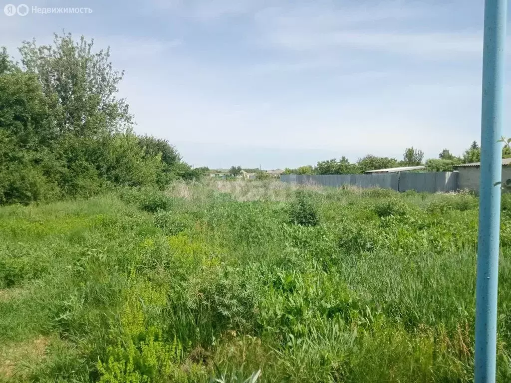 Участок в Белгородская область, рабочий посёлок Волоконовка (15 м) - Фото 0