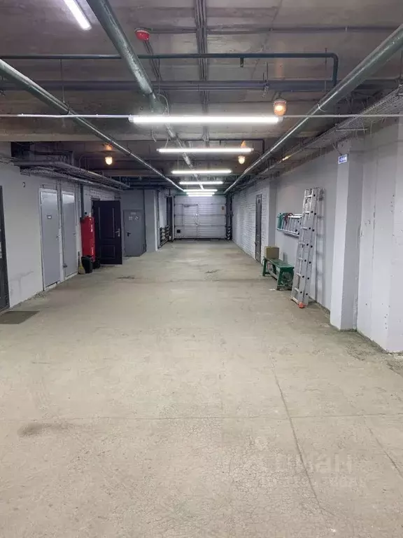 Помещение свободного назначения в Москва просп. Мира, 64 (285 м) - Фото 1