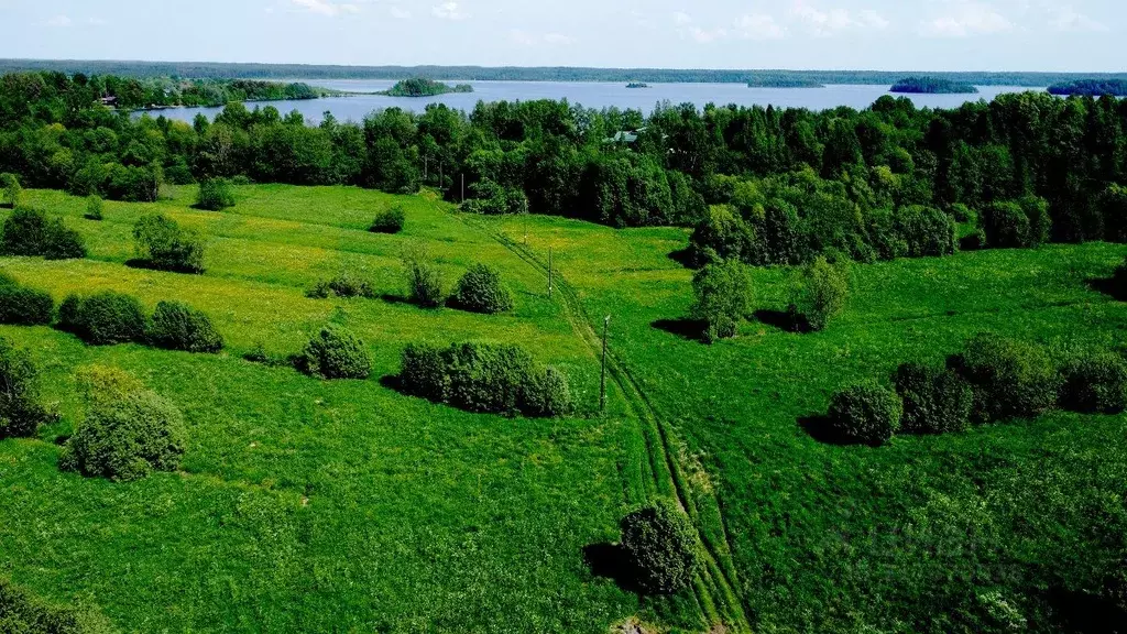 Участок в Карелия, Питкярантский район, Питкярантское городское ... - Фото 1