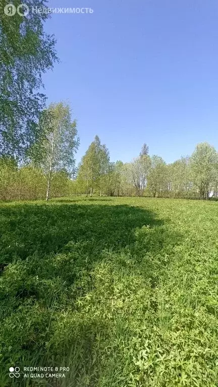 Участок в Вологодская область, Череповецкий муниципальный округ, ... - Фото 1
