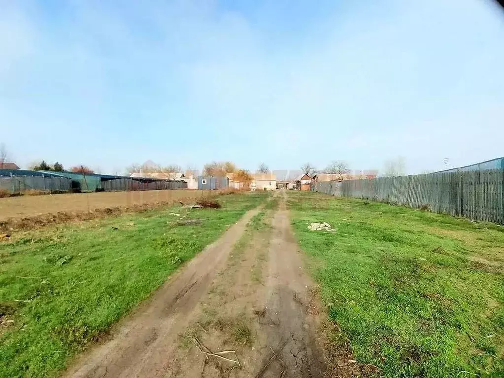 Участок в Астраханская область, Приволжский район, пос. Новый Кутум ... - Фото 2