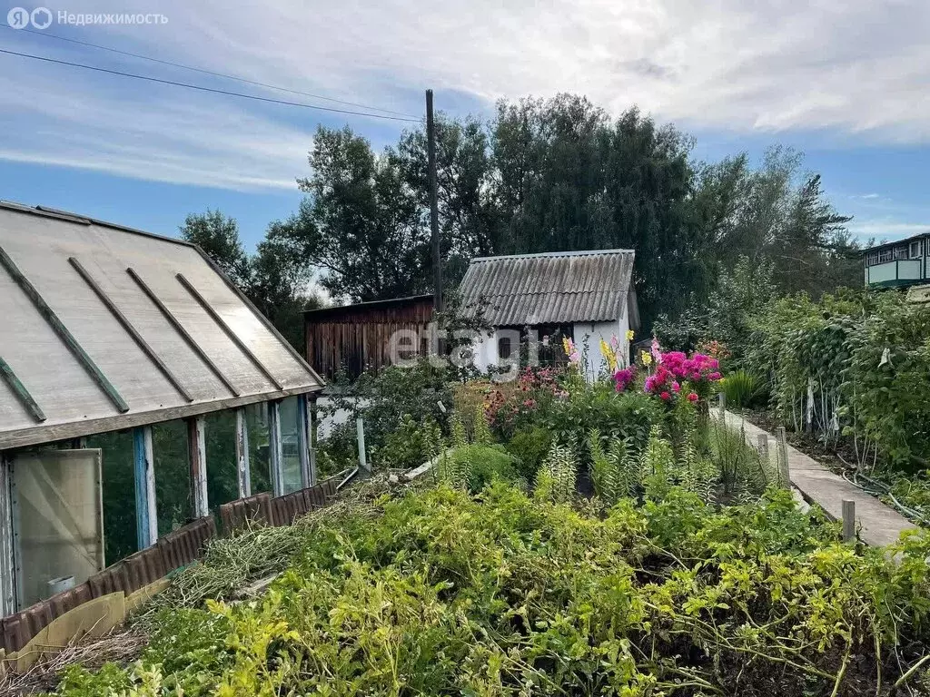 Дом в село Лесное, СНТ Амурское, Солнечная улица (40 м) - Фото 1
