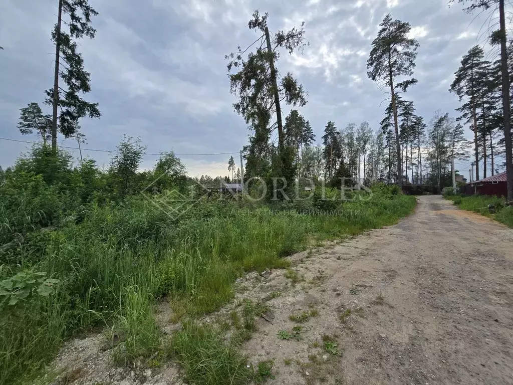 Участок в Московская область, Щелково городской округ, Борисовка кп 34 ... - Фото 2