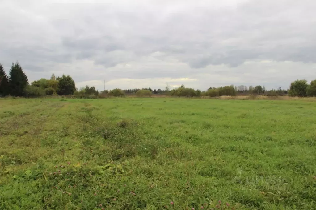 Участок в Московская область, Шаховская муниципальный округ, д. ... - Фото 1