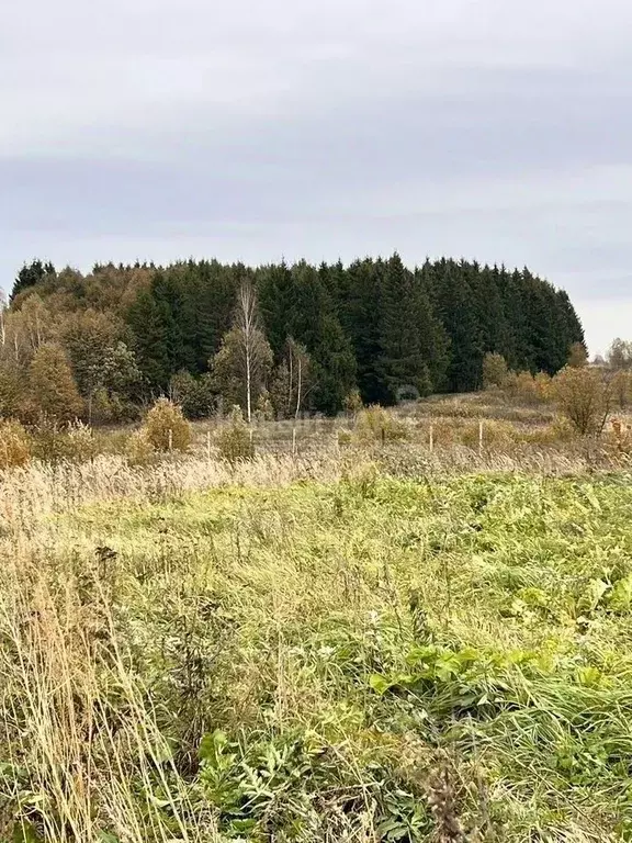 Участок в Калужская область, Мещовск  (10.0 сот.) - Фото 0