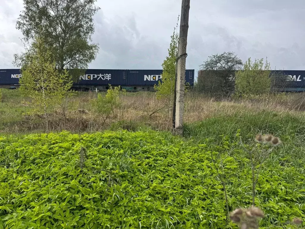 Участок в Московская область, Богородский городской округ, Электроугли ... - Фото 0